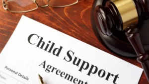 Bankruptcy Advisory Centre - Child Support and Bankruptcy